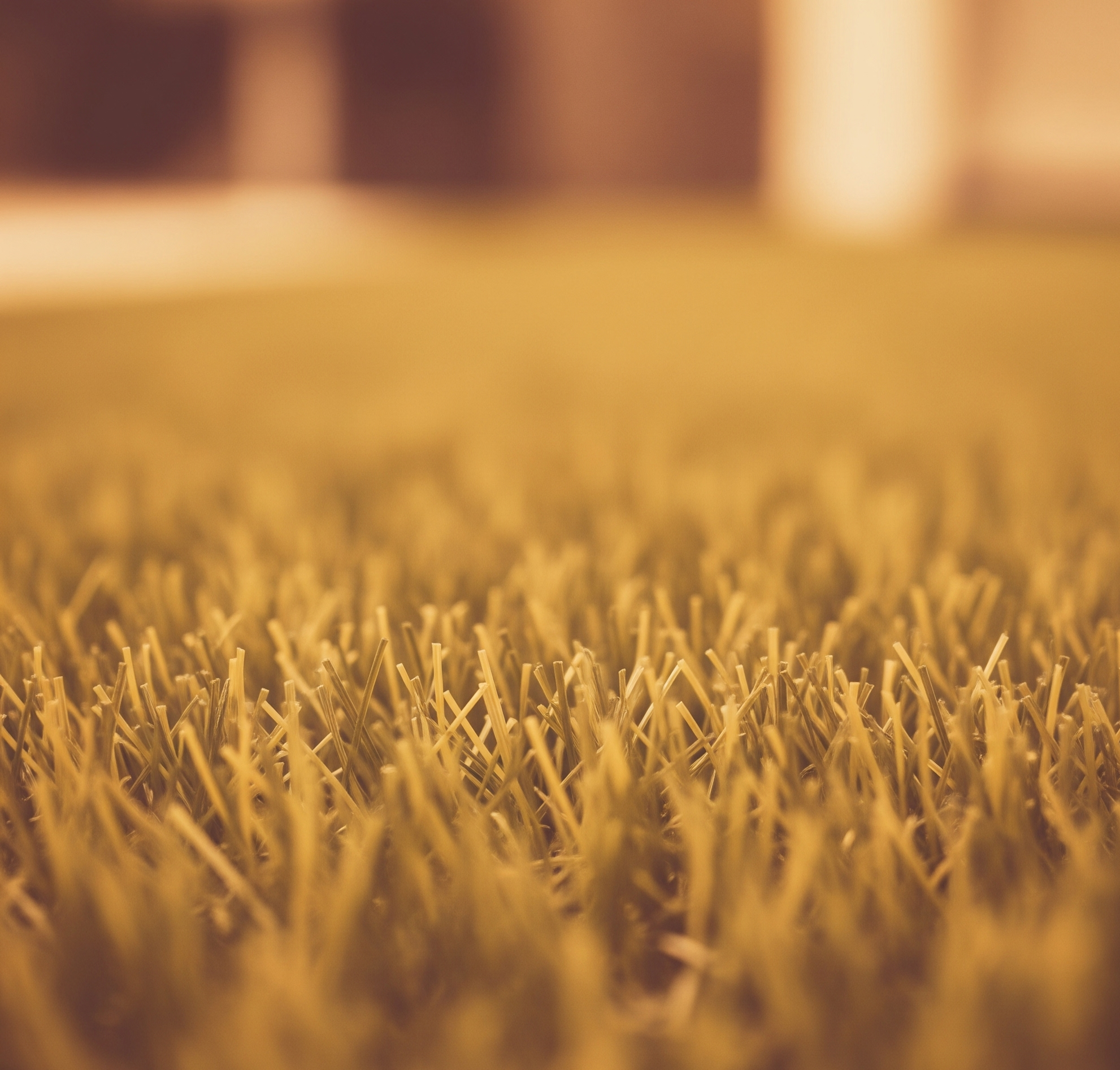 Fake Grass Vintage